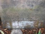 image of grave number 177651